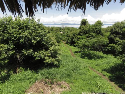 Landskap semula jadi dekat dengan penginapan di ladang