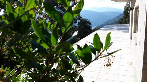 uma vista para as montanhas a partir da varanda de uma casa em Casa Douro Terrace em Baião