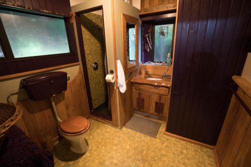 a bathroom with a toilet and a sink at Forest Edge in Barrytown