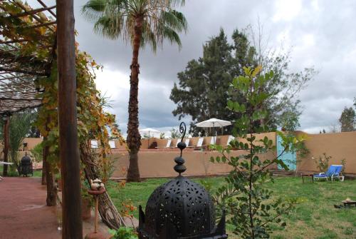 a garden with a fence and a palm tree at Gite Souss in Oulad Teima