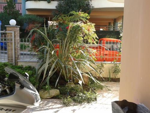 eine Pflanze in einem Garten neben einem Gebäude in der Unterkunft Patra - Cute studio near center in Patras