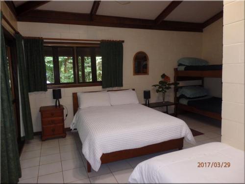 1 dormitorio con 2 camas y ventana en Daintree Deep Forest Lodge en Cape Tribulation