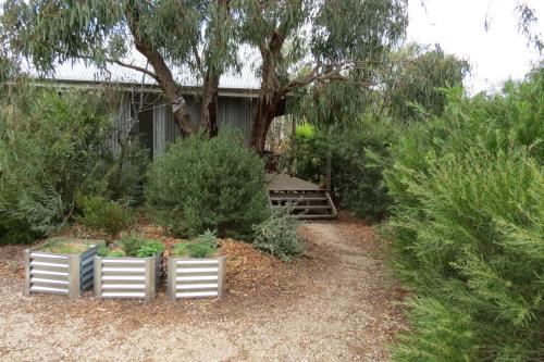 a garden with three white planters in front of a tree at Butterworth Cottage in Castlemaine