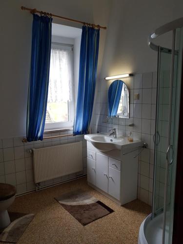 a bathroom with a sink and a shower and a mirror at Haus Andrea in Wernigerode