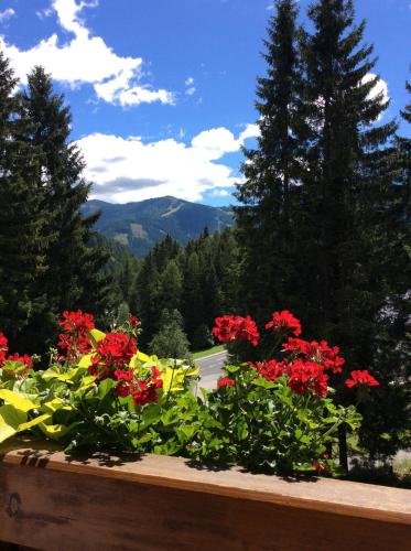 a flower box with red flowers and a road at Ferienhaus Sükar in Bad Kleinkirchheim