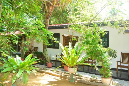 a house with a lot of plants in front of it at Livinginn Polonnaruwa in Polonnaruwa