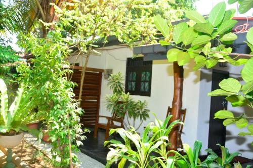 a house with a lot of plants in front of it at Livinginn Polonnaruwa in Polonnaruwa