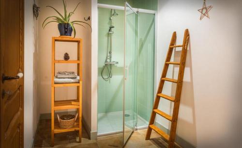 La salle de bains est pourvue d'une douche en verre et d'une échelle. dans l'établissement Chambres et Jardin de Pierres, à Espédaillac