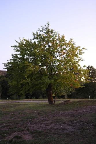 Ardeche - Gites Objectif Evasion – Photos 5