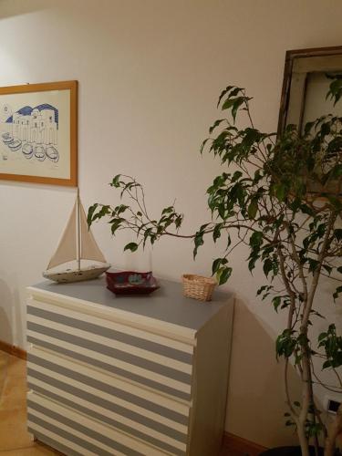 a plant sitting on top of a table next to a wall at B&B La Cà De La Frà in Gravedona