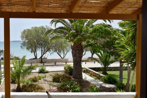 a view of the beach from the porch of a resort with a palm tree at Grandes Apartments sea front in Palekastron
