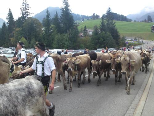 Tiere in diesem Bauernhof oder in der Nähe