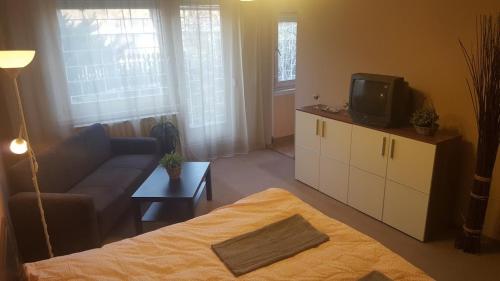 - un salon avec un canapé et une télévision dans l'établissement Obuda Apartment, à Budapest