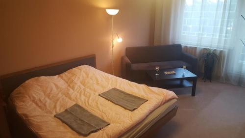 ブダペストにあるObuda Apartmentのベッド、ソファ、テーブルが備わる客室です。