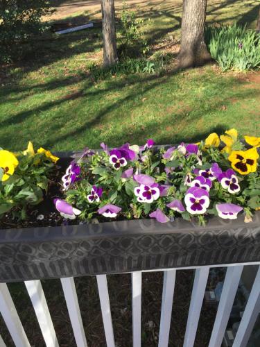 a white bench with a bed of flowers on it at The Inn on Front Street in Statesville