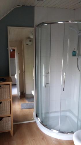 a bathroom with a glass shower in a room at Rings Coach House Retreat in Carlow