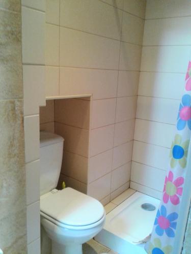 a bathroom with a toilet and a shower at Casas Botelho Elias in Pinhão