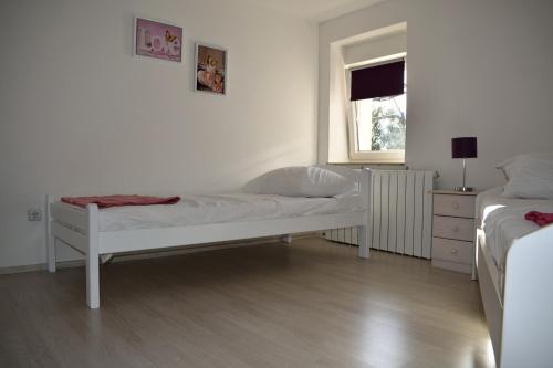 Gallery image of Aurelia Apartment in Ližnjan