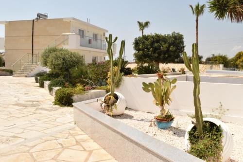 a group of cacti and plants in a yard at Fedrania Gardens Hotel in Ayia Napa