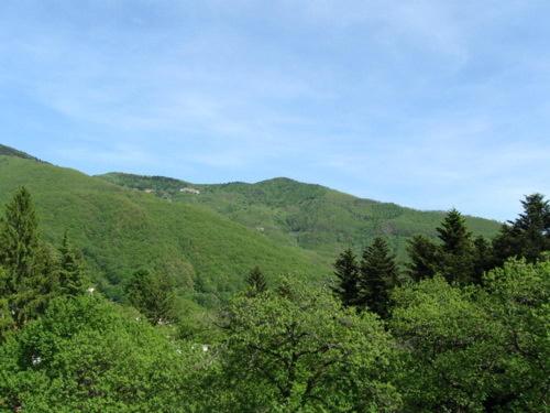 Un paisaje natural cerca del hotel