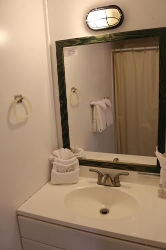a bathroom with a sink and a mirror at Red Caboose Motel & Restaurant in Ronks