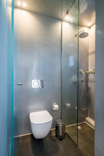 a bathroom with a toilet and a glass shower stall at San Giorgio in Fira