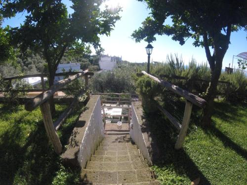 a set of stairs in a park with a street light at Villa Carolina Sorrento Private Heated Pool and Sea View in Sorrento