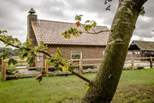 Het kleine Landgoed – Photos 3