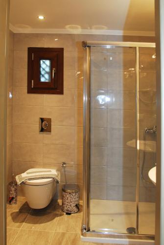 a bathroom with a toilet and a glass shower at Kavadias Apartments in Vasiliki