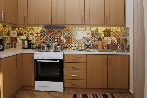 a kitchen with a stove and a sink at Kavadias Apartments in Vasiliki