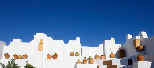 a wall with cacti and potted plants on it at Hotel Veracruz in Utrera