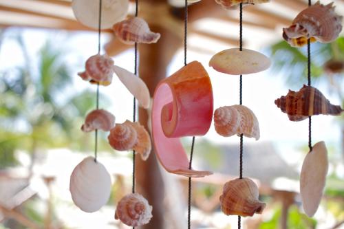Φωτογραφία από το άλμπουμ του Palapas del Sol σε Holbox Island