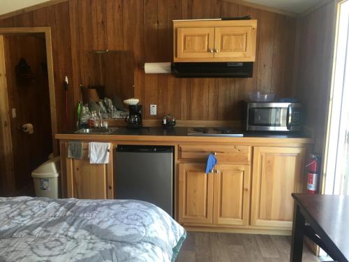 a kitchen with a counter with a microwave and a stove at Big Cypress in Lake Panasoffkee