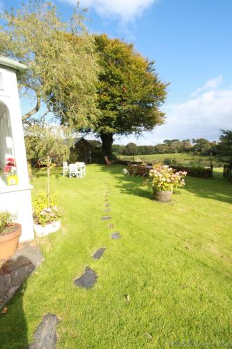 a yard with a tree and a table and chairs at Trenderway Farm in Looe