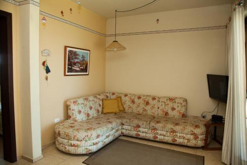 a living room with a couch and a tv at Laggus Residencial Náutico in Ferraria
