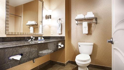 Koupelna v ubytování Best Western Plus Texarkana Inn and Suites