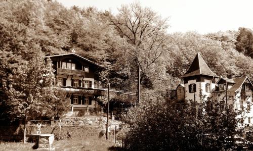 a black and white photo of an old house at Bilz-Pension in Radebeul