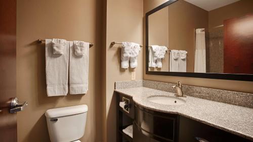 A bathroom at Best Western Abbeville Inn and Suites