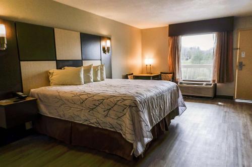 a hotel room with a bed and a window at Best Western Cades Cove Inn in Townsend