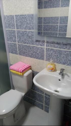 un bagno con un water e un lavandino di Apartment Luka a Ohrid
