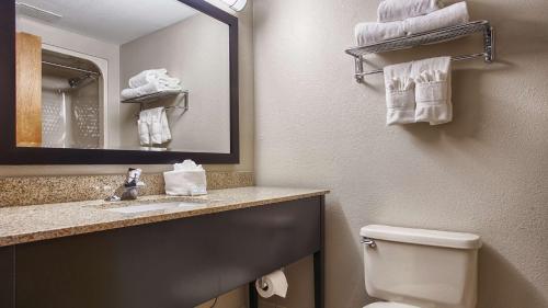 a bathroom with a sink and a toilet and a mirror at Best Western Executive Inn & Suites in Columbia