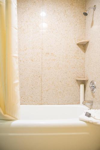 a bathroom with a bath tub with a shower at Oakland Airport Executive Hotel in Oakland