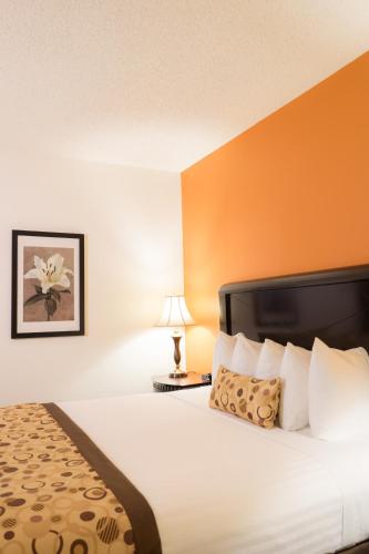 a hotel room with a bed and a lamp at Oakland Airport Executive Hotel in Oakland