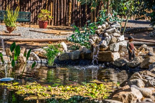 a child standing in front of a pond with a fountain at Bosques de San José Lodge in Algarrobo