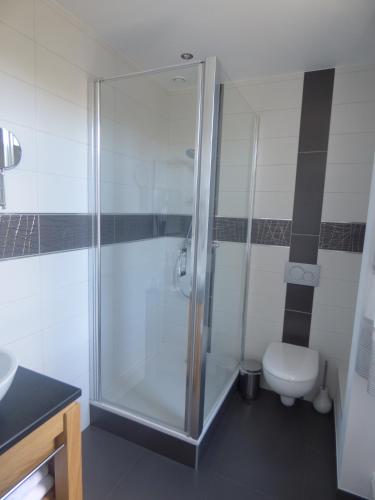a bathroom with a shower and a toilet at Auberge De L'Abbaye-Logis Hôtel Restaurant in Hambye