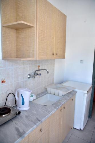 a kitchen with a sink and a white refrigerator at Hotel Germany in Paralia Katerinis