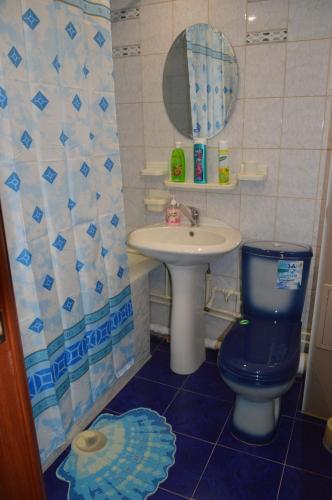 オレンブルクにあるApartment on Chkalova 42のバスルーム(青いトイレ、シンク付)