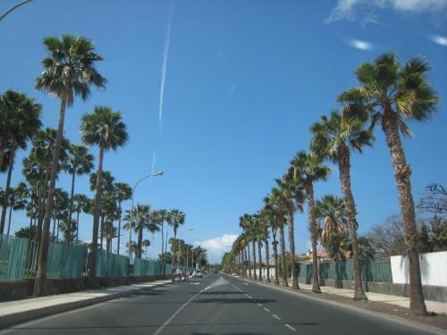 an empty street with palm trees on the side of the road at Bungalows Campo Golf in Maspalomas