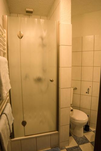 a bathroom with a shower and a toilet at Ferienwohnung Wandelt in Arnstadt