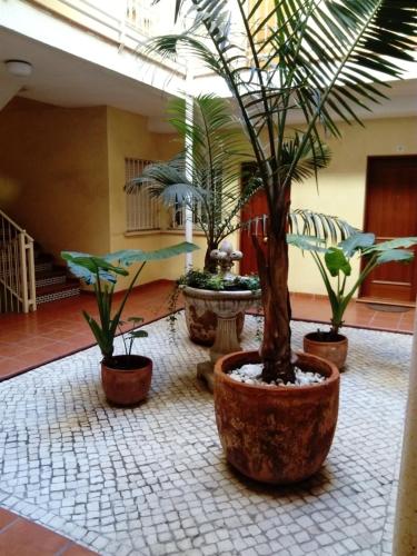 Apartamento Dos Aceras